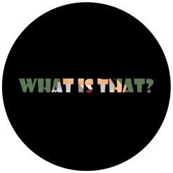 what2